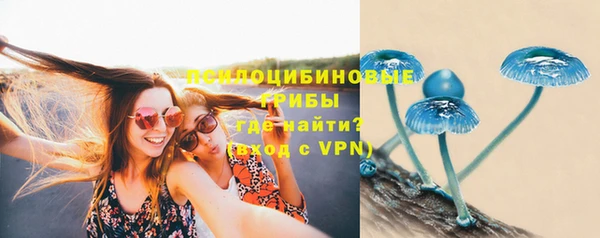 МДПВ Верея