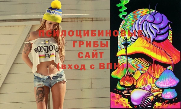 МДПВ Верея