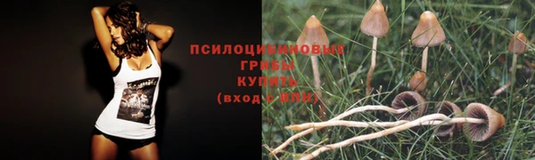 МДМА Верхний Тагил
